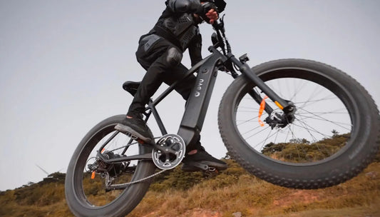 DYU King750 Fat Tire Electric Bike with a 750W Powerful Motor