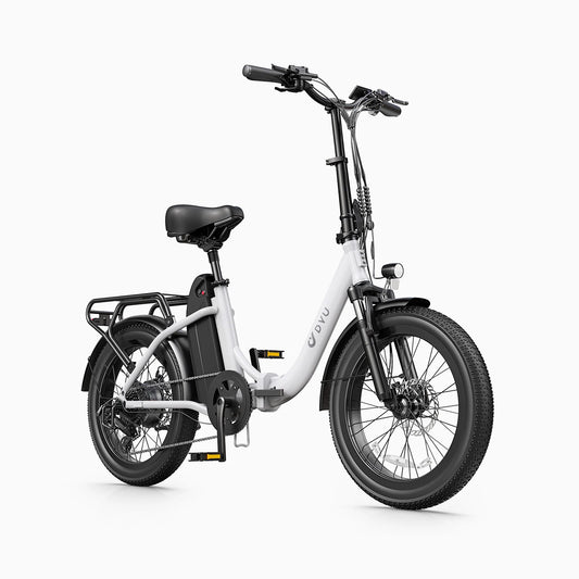 DYU C9 20 Inch Long-Range eBike