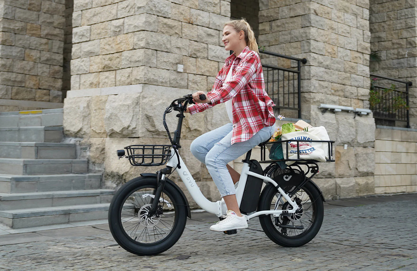 DYU C9 20 Inch Long-Range eBike