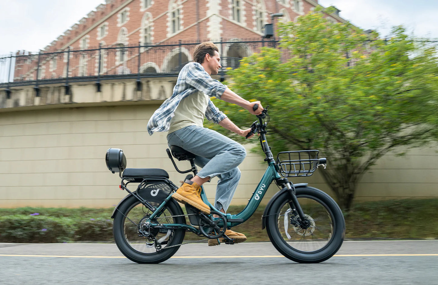 DYU C9 20 Inch Long-Range eBike