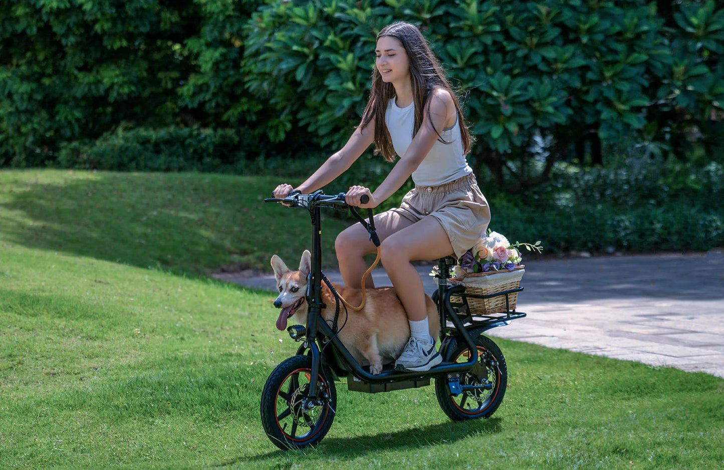 DYU C4 14 inch Foldable Sit Down Scooter