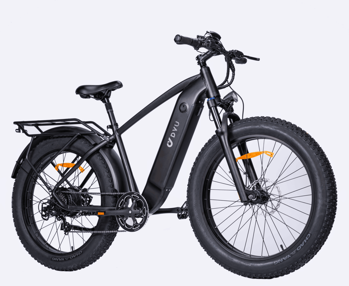 DYU King 750 Electric Bike