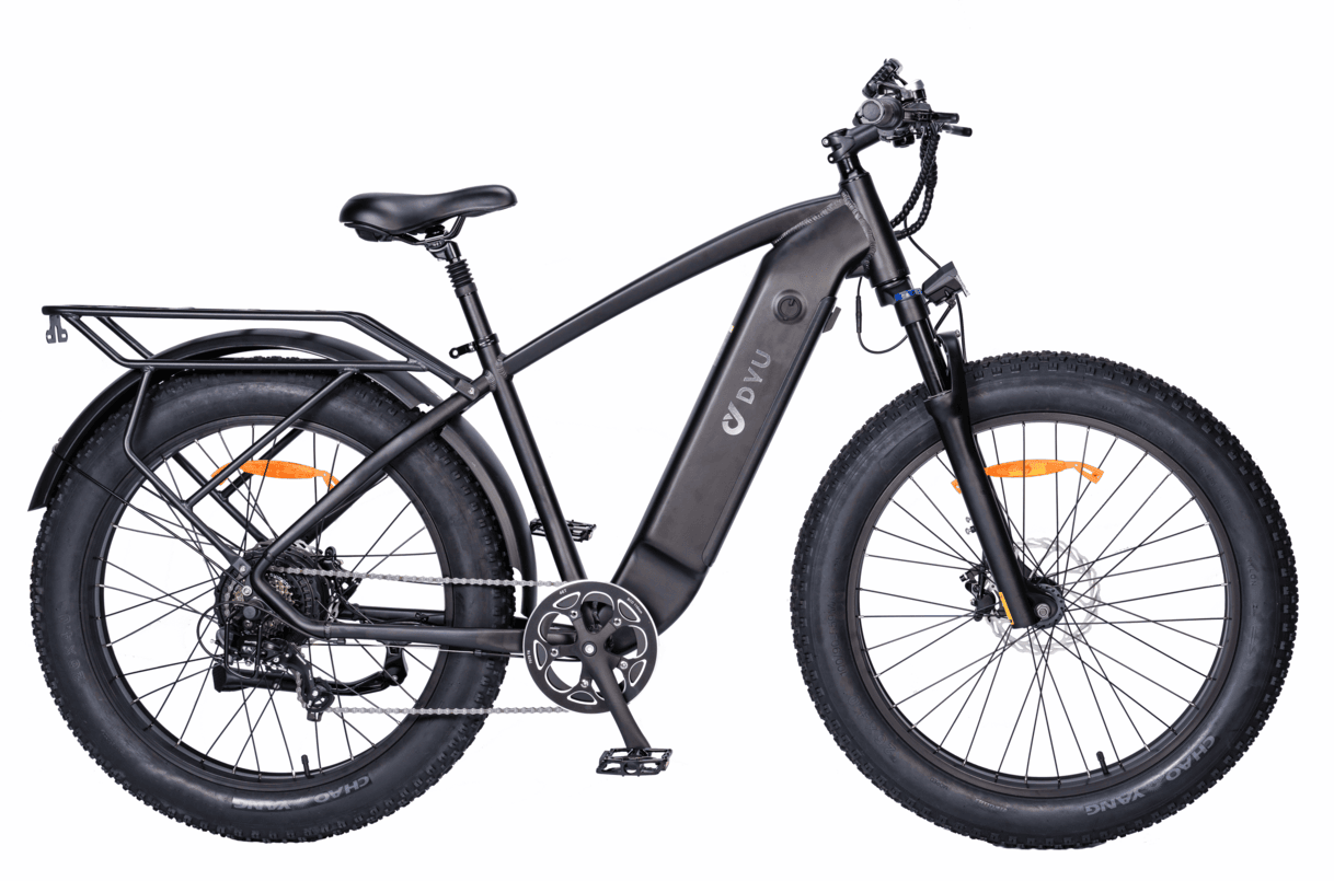 DYU King 750 Electric Bike