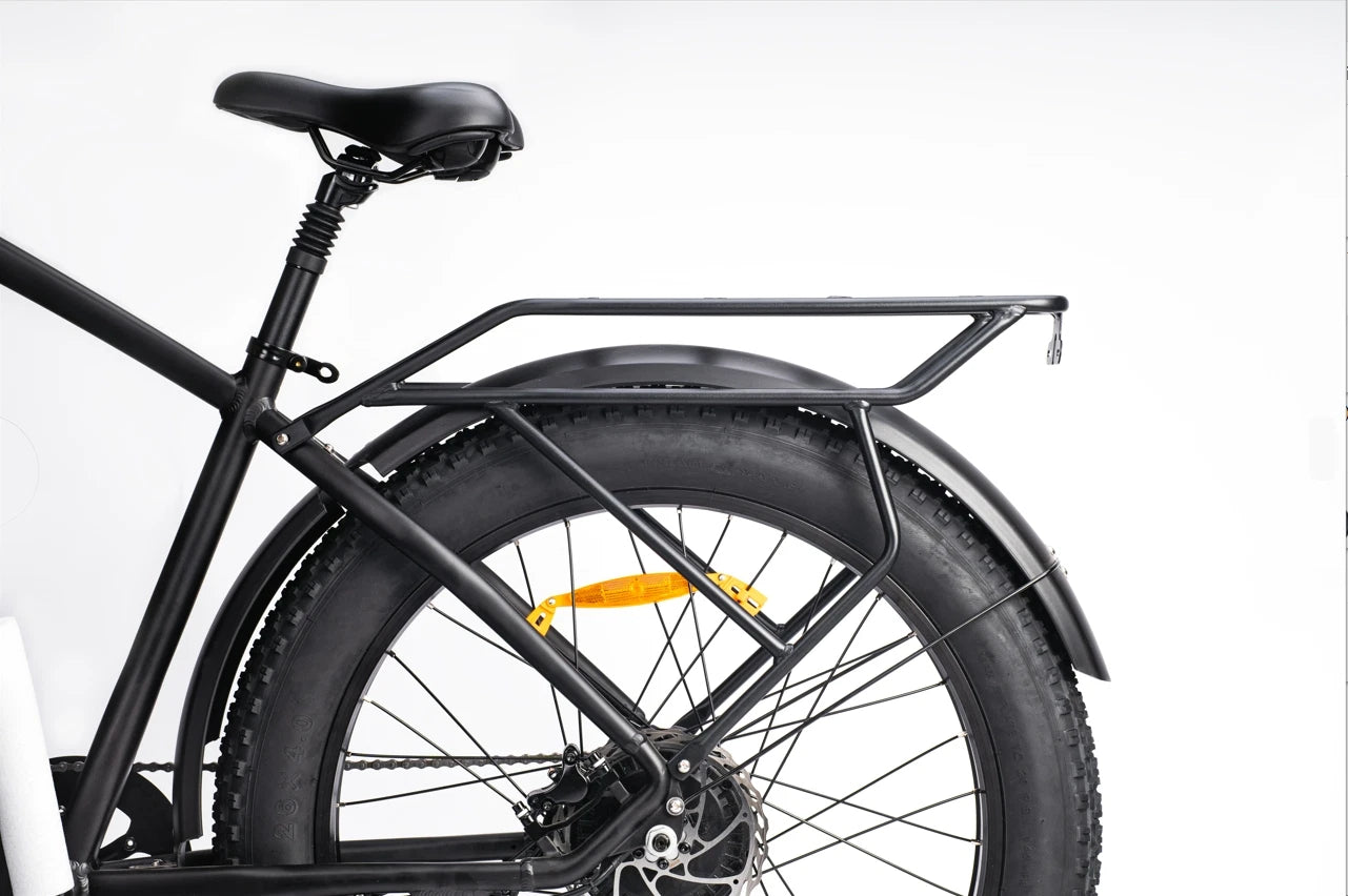 DYU King 750 Electric Bike