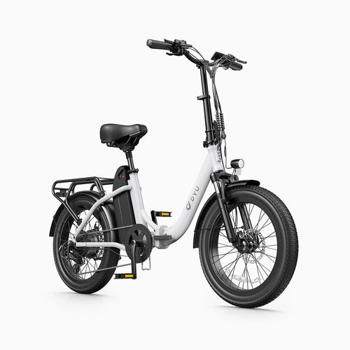DYU C9 20 Inch Long-Range eBike