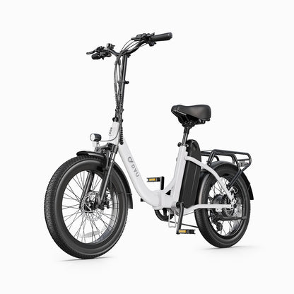 DYU C9 20 Inch Long-Range eBike
