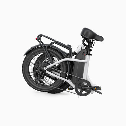 DYU C9 20 Inch Long-Range eBike