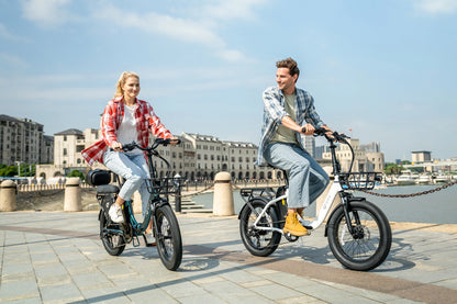 DYU C9 20 Inch Long-Range eBike