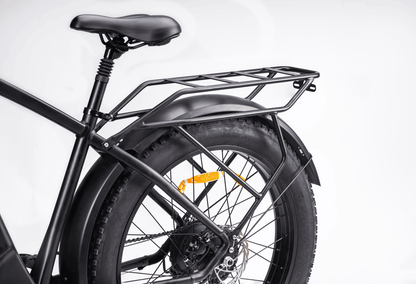 DYU King 750 Electric Bike