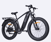 $2500 (BUY NOW)  Only - 1 Left