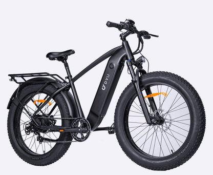 DYU King 750 Electric Bike