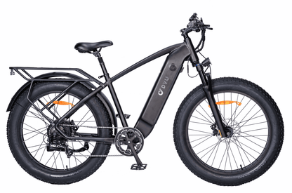 DYU King 750 Electric Bike