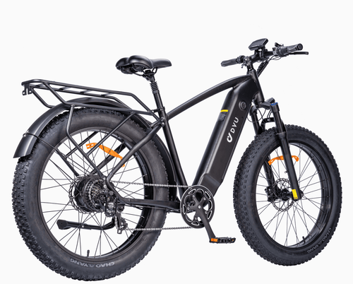 DYU King 750 Electric Bike
