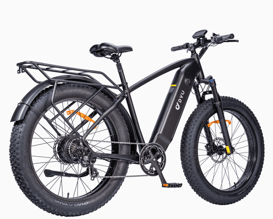 DYU King 750 Electric Bike