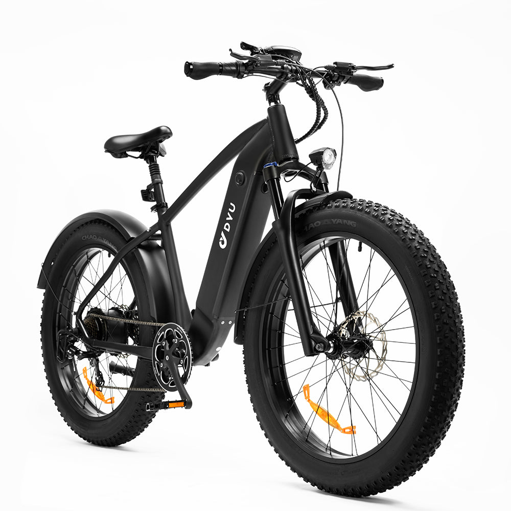 DYU King 750 Electric Bike