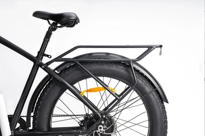DYU King 750 Electric Bike